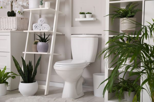 Cost of Toilet Repair in Greensburg